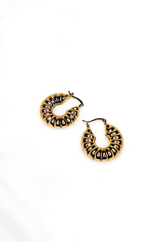 Solstice Hoops